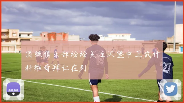 顶级俱乐部纷纷关注汉堡中卫武什科维奇拜仁在列