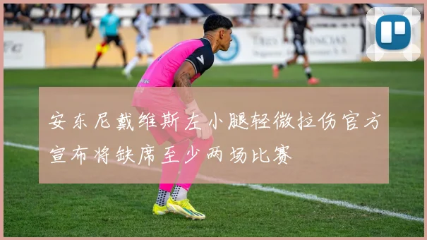 安东尼戴维斯左小腿轻微拉伤官方宣布将缺席至少两场比赛
